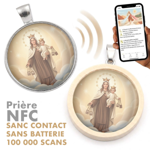 Notre-Dame du Mont Carmel - Protection et Intercession