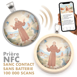 Prayer Medal: Saint Francis of Assisi